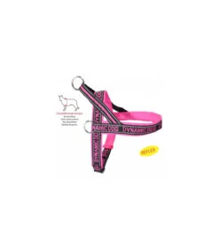 DC198 Harnais Néopréne Dynamic Camon Fuchsia