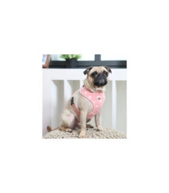 HA1531 Harnais A Puppia Ernest Harness Pink -Animaux Amour Promos Boutique ha1531 harnais a puppia ernest harness pink 2