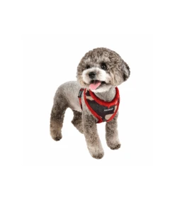 HA1766 Colonel Harness Camo Wine Puppia 7 HA1766 Colonel Harness Camo Wine Puppia -Animaux Amour Promos Boutique ha1766 colonel harness camo wine puppia 2