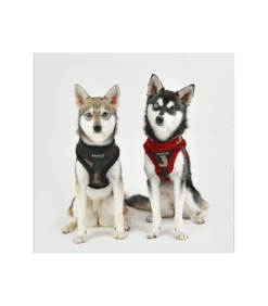 HA1766 Colonel Harness Camo Wine Puppia 9 HA1766 Colonel Harness Camo Wine Puppia -Animaux Amour Promos Boutique ha1766 colonel harness camo wine puppia 4