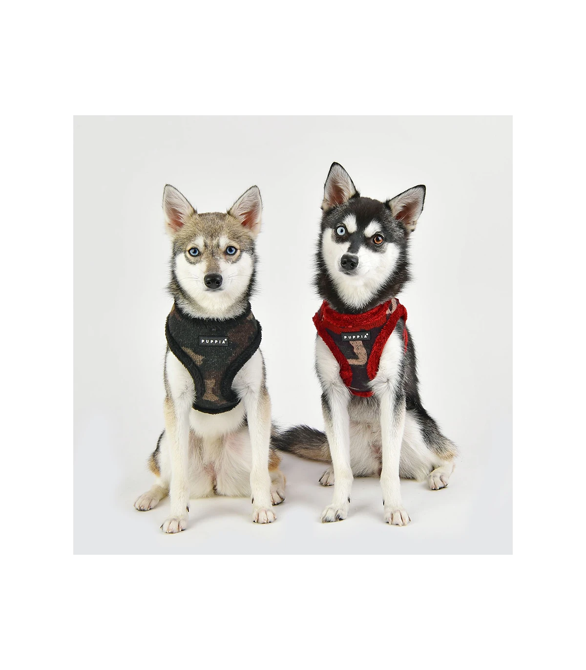 HA1766 Colonel Harness Camo Wine Puppia 5 HA1766 Colonel Harness Camo Wine Puppia – Image 5