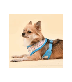 HA1826 Harnais Wildflower Bleu Puppia -Animaux Amour Promos Boutique ha1826 harnais wildflower bleu puppia 2