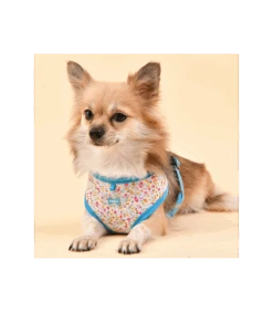 HA1826 Harnais Wildflower Bleu Puppia -Animaux Amour Promos Boutique ha1826 harnais wildflower bleu puppia 3