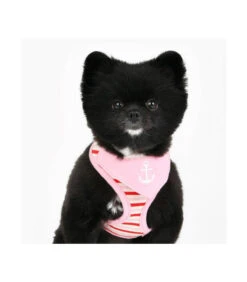 HA1832 Harnais Imprimé Marin Rose Seaman Puppia