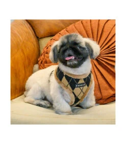 HA1843 Harnais Fourré Motif Burlington Beige Jaden Puppia 10 HA1843 Harnais Fourré Motif Burlington Beige Jaden Puppia -Animaux Amour Promos Boutique ha1843 harnais fourre motif burlington beige jaden puppia 4