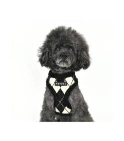 HA1843 Harnais Fourré Motif Burlington Black Jaden Puppia 13 HA1843 Harnais Fourré Motif Burlington Black Jaden Puppia -Animaux Amour Promos Boutique ha1843 harnais fourre motif burlington black jaden puppia 5