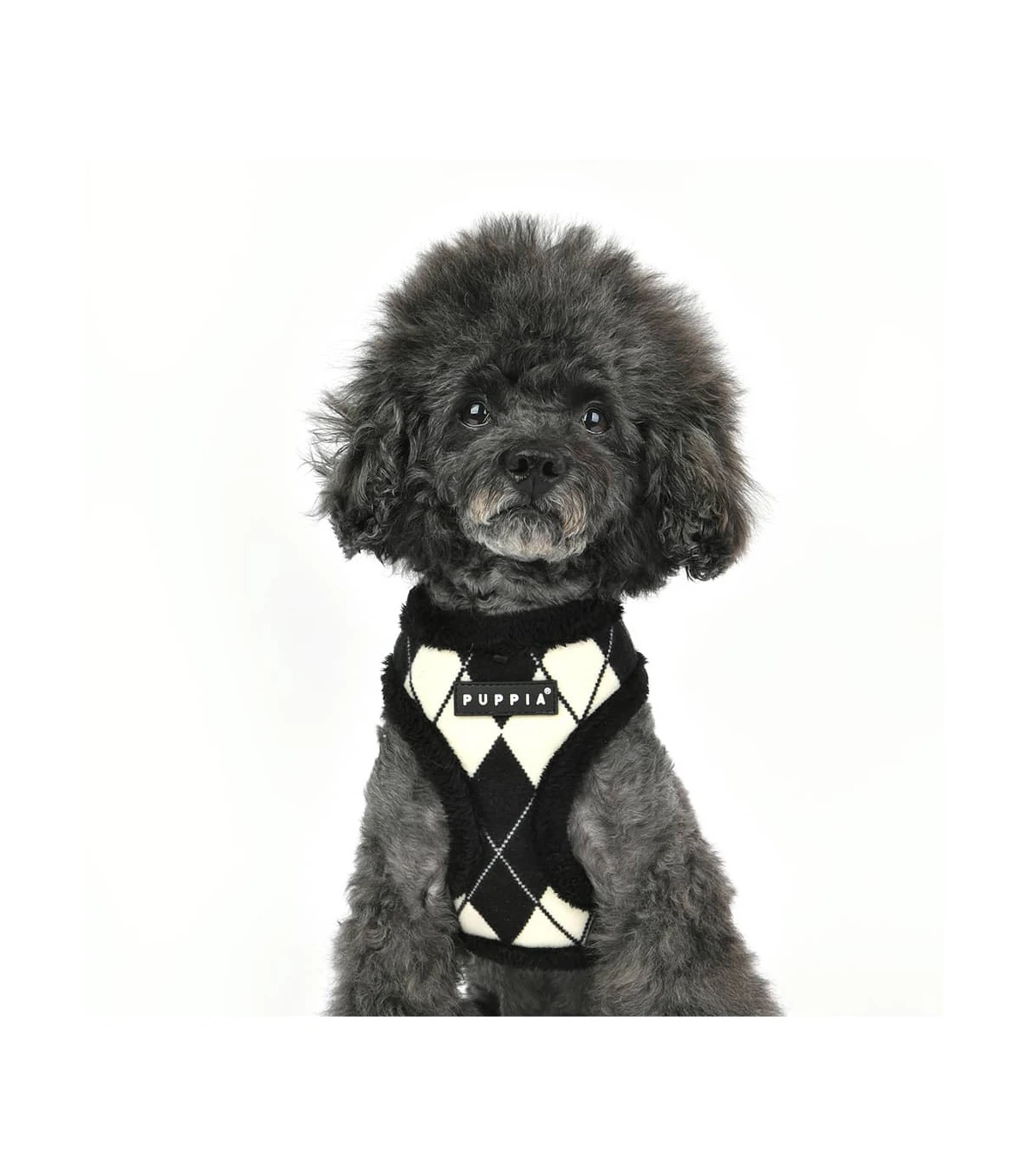 HA1843 Harnais Fourré Motif Burlington Black Jaden Puppia 6 HA1843 Harnais Fourré Motif Burlington Black Jaden Puppia – Image 6