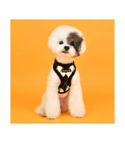 HA1843 Harnais Fourré Motif Burlington Black Jaden Puppia 14 HA1843 Harnais Fourré Motif Burlington Black Jaden Puppia -Animaux Amour Promos Boutique ha1843 harnais fourre motif burlington black jaden puppia 6