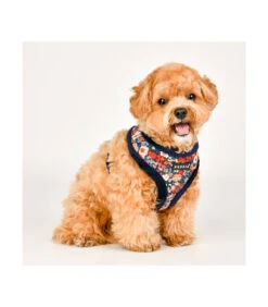 HA1857 Harnais Fourré En Tissu Velours Fleuri Navy Gianni Puppia -Animaux Amour Promos Boutique ha1857 harnais fourre en tissu velours fleuri navy gianni puppia 6