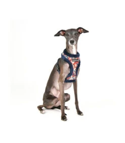 HA1857 Harnais Fourré En Tissu Velours Fleuri Navy Gianni Puppia -Animaux Amour Promos Boutique ha1857 harnais fourre en tissu velours fleuri navy gianni puppia 7