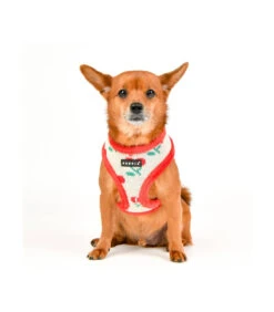 HA1925 Harnais Fourré En Maille Et Cerise Red Cheryl Puppia -Animaux Amour Promos Boutique ha1925 harnais fourre en maille et cerise red cheryl puppia 5