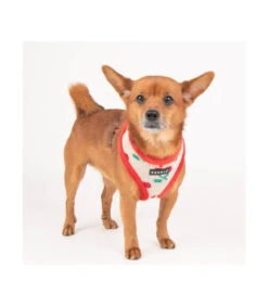 HA1925 Harnais Fourré En Maille Et Cerise Red Cheryl Puppia -Animaux Amour Promos Boutique ha1925 harnais fourre en maille et cerise red cheryl puppia 6