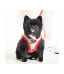 HA1925 Harnais Fourré En Maille Et Cerise Red Cheryl Puppia -Animaux Amour Promos Boutique ha1925 harnais fourre en maille et cerise red cheryl puppia 7