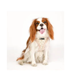 HA1933 Harnais Fourré Motif Fleur Beige Hepatica Puppia -Animaux Amour Promos Boutique ha1933 harnais fourre motif fleur beige hepatica puppia 6