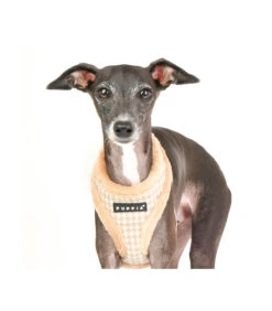 HA1935 Harnais Fourré Motif Pied De Poule Beige Shepherd Puppia -Animaux Amour Promos Boutique ha1935 harnais fourre motif pied de poule beige shepherd puppia 7