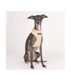 HA1935 Harnais Fourré Motif Pied De Poule Beige Shepherd Puppia -Animaux Amour Promos Boutique ha1935 harnais fourre motif pied de poule beige shepherd puppia 8