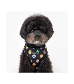 HA1957 Harnais Motif Coccinelle Noir Lady Beetle Puppia 12 HA1957 Harnais Motif Coccinelle Noir Lady Beetle Puppia -Animaux Amour Promos Boutique ha1957 harnais motif coccinelle noir lady beetle puppia 5