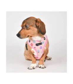 HA1957 Harnais Motif Coccinelle Rose Lady Beetle Puppia -Animaux Amour Promos Boutique ha1957 harnais motif coccinelle rose lady beetle puppia 3