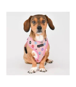 HA1957 Harnais Motif Coccinelle Rose Lady Beetle Puppia -Animaux Amour Promos Boutique ha1957 harnais motif coccinelle rose lady beetle puppia 4