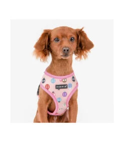 HA1957 Harnais Motif Coccinelle Rose Lady Beetle Puppia -Animaux Amour Promos Boutique ha1957 harnais motif coccinelle rose lady beetle puppia 5