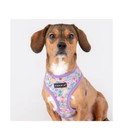 HA1959 Harnais Motif Fleuri Mauve Lita Puppia 12 HA1959 Harnais Motif Fleuri Mauve Lita Puppia -Animaux Amour Promos Boutique ha1959 harnais motif fleuri mauve lita puppia 4