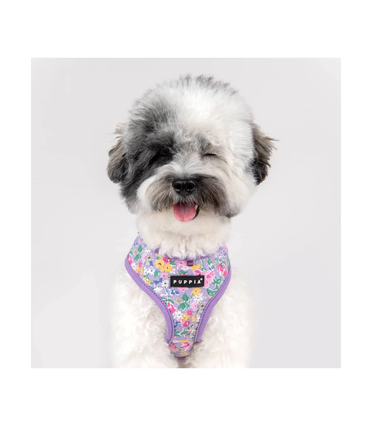 HA1959 Harnais Motif Fleuri Mauve Lita Puppia 6 HA1959 Harnais Motif Fleuri Mauve Lita Puppia – Image 6