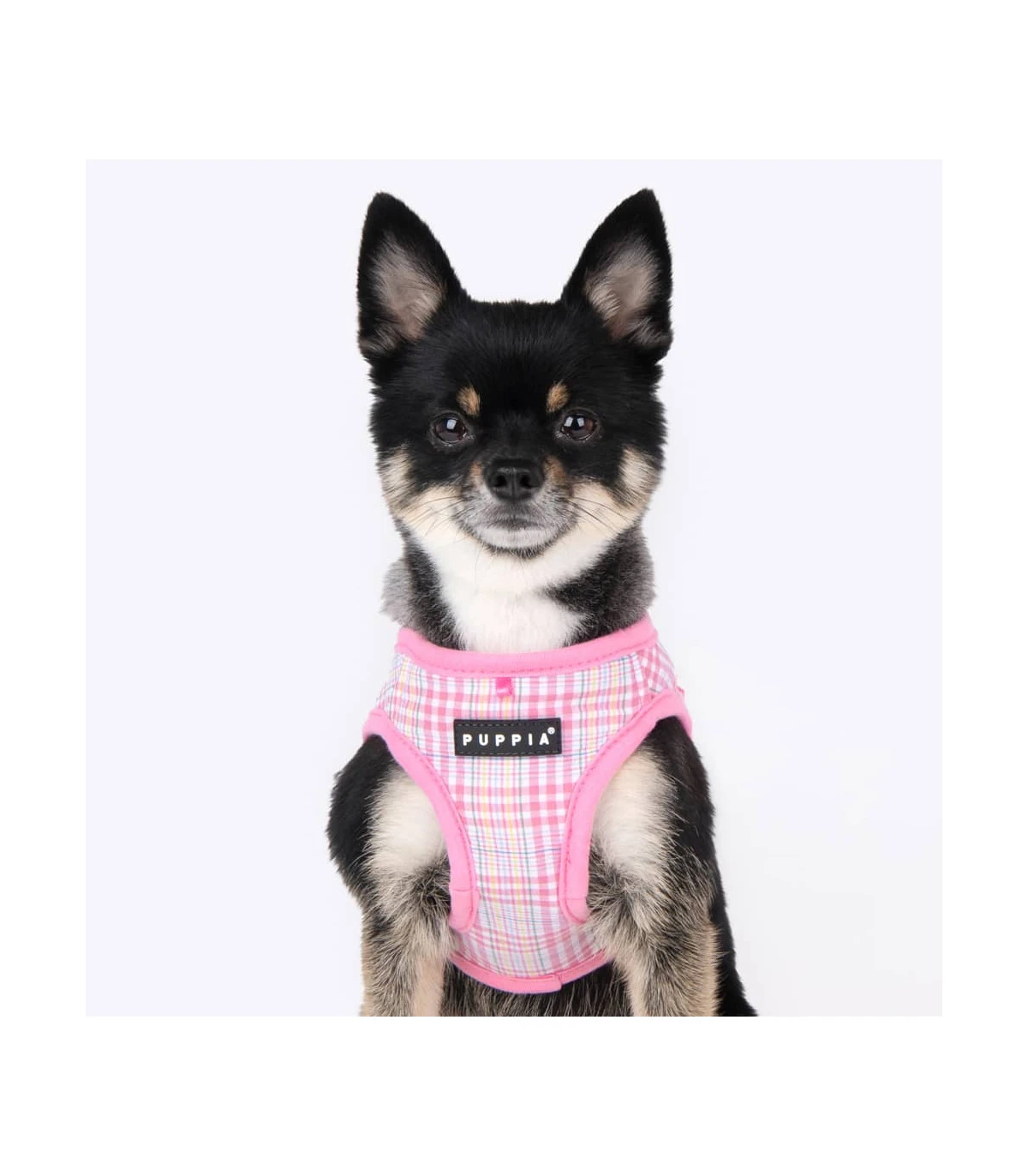 HA1965 Harnais À Carreaux Rose Luke Puppia 2 HA1965 Harnais À Carreaux Rose Luke Puppia – Image 2