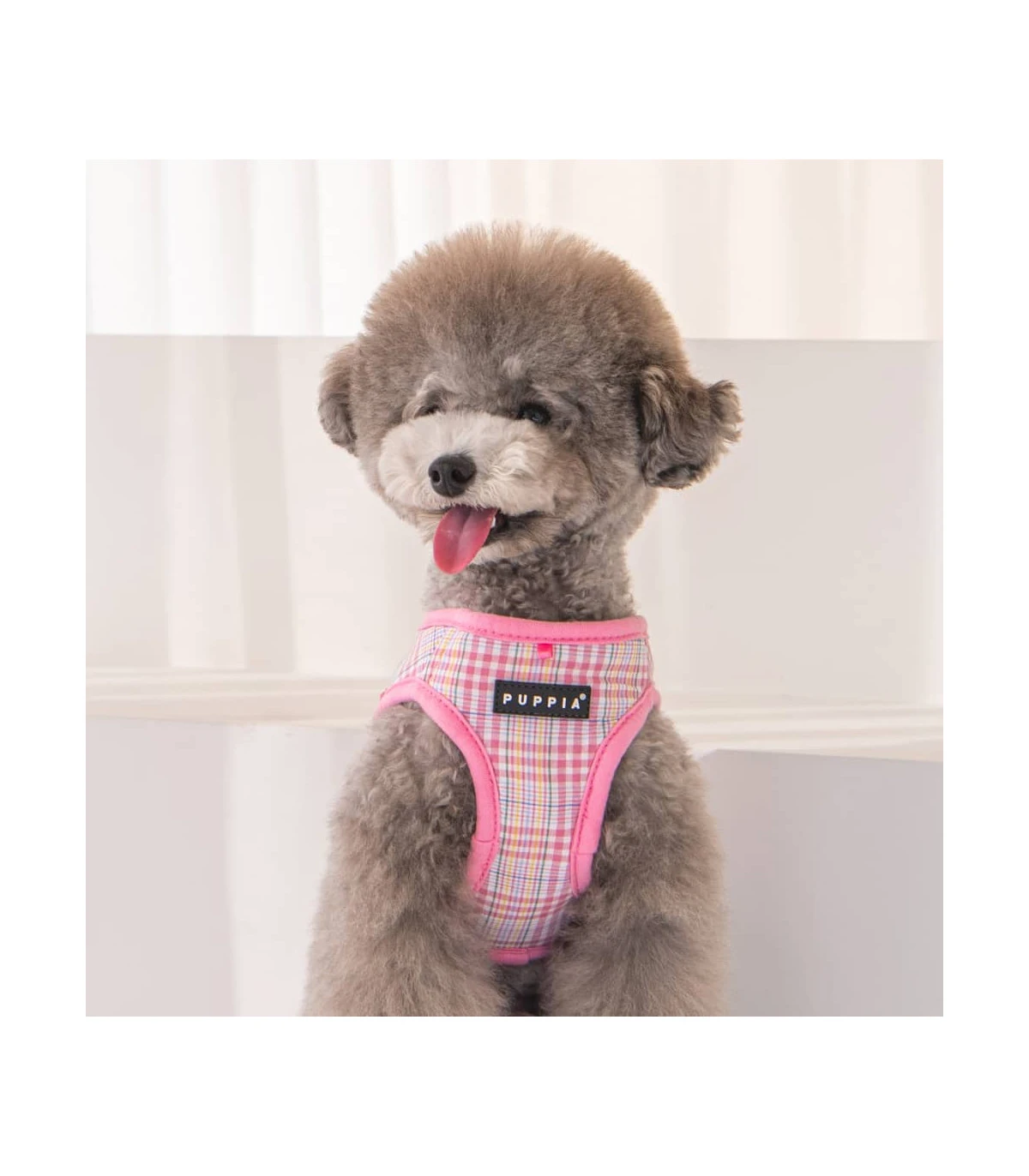 HA1965 Harnais À Carreaux Rose Luke Puppia 3 HA1965 Harnais À Carreaux Rose Luke Puppia – Image 3