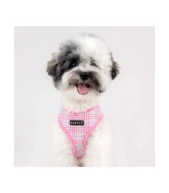 HA1965 Harnais À Carreaux Rose Luke Puppia 12 HA1965 Harnais À Carreaux Rose Luke Puppia -Animaux Amour Promos Boutique ha1965 harnais a carreaux rose luke puppia 3
