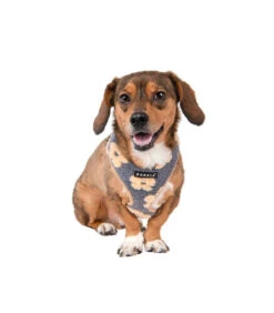 HA1975 Harnais Doudou Façon Mouton Imprimé Fleurs Grises Et Beige Ren Puppia -Animaux Amour Promos Boutique ha1975 harnais doudou facon mouton imprime fleurs grises et beige ren puppia 6