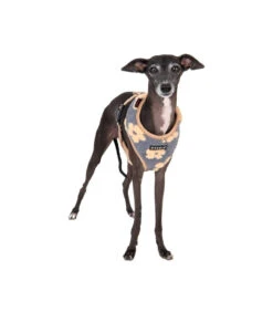 HA1975 Harnais Doudou Façon Mouton Imprimé Fleurs Grises Et Beige Ren Puppia -Animaux Amour Promos Boutique ha1975 harnais doudou facon mouton imprime fleurs grises et beige ren puppia 7