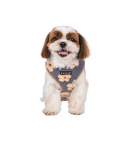 HA1975 Harnais Doudou Façon Mouton Imprimé Fleurs Grises Et Beige Ren Puppia -Animaux Amour Promos Boutique ha1975 harnais doudou facon mouton imprime fleurs grises et beige ren puppia 8