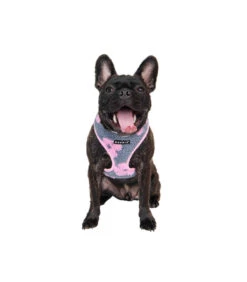 HA1975 Harnais Doudou Façon Mouton Imprimé Fleurs Grises Et Roses Ren Puppia 16 HA1975 Harnais Doudou Façon Mouton Imprimé Fleurs Grises Et Roses Ren Puppia -Animaux Amour Promos Boutique ha1975 harnais doudou facon mouton imprime fleurs grises et roses puppia 7