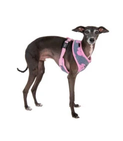 HA1975 Harnais Doudou Façon Mouton Imprimé Fleurs Grises Et Roses Ren Puppia 17 HA1975 Harnais Doudou Façon Mouton Imprimé Fleurs Grises Et Roses Ren Puppia -Animaux Amour Promos Boutique ha1975 harnais doudou facon mouton imprime fleurs grises et roses puppia 8