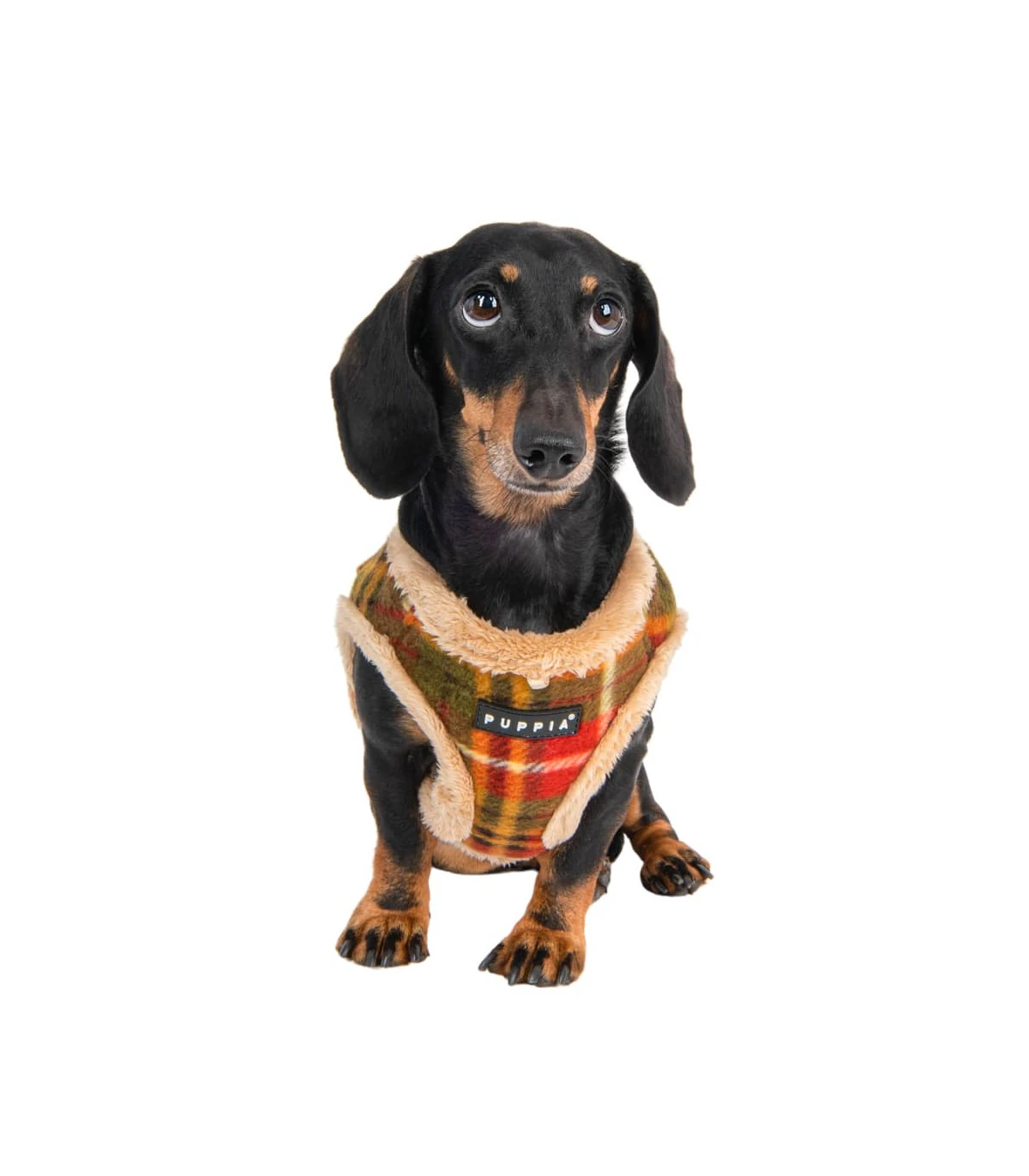 HA1985 Harnais Fourré écossais Beige Et Rouge Norman Puppia 7 HA1985 Harnais Fourré écossais Beige Et Rouge Norman Puppia – Image 7