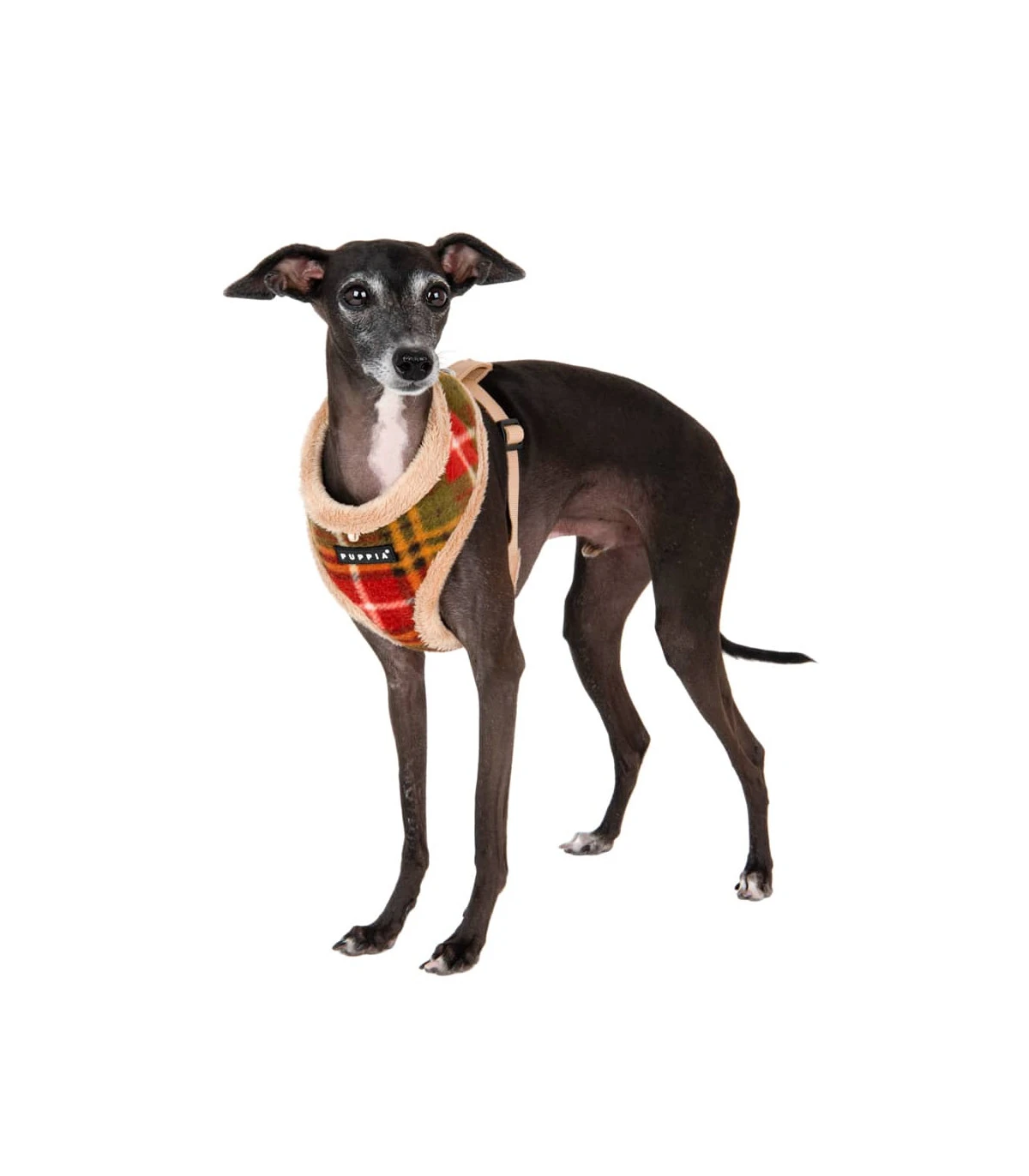 HA1985 Harnais Fourré écossais Beige Et Rouge Norman Puppia 9 HA1985 Harnais Fourré écossais Beige Et Rouge Norman Puppia – Image 9