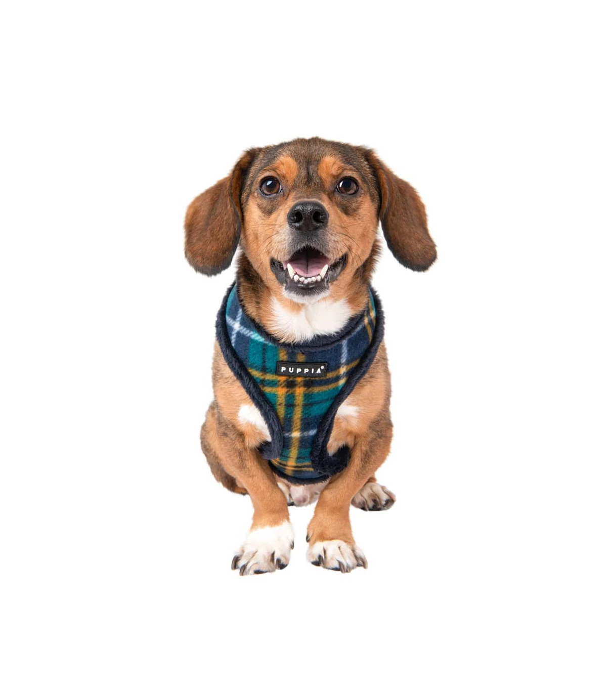 HA1985 Harnais Fourré écossais Navy Et Jaune Norman Puppia 8 HA1985 Harnais Fourré écossais Navy Et Jaune Norman Puppia – Image 8