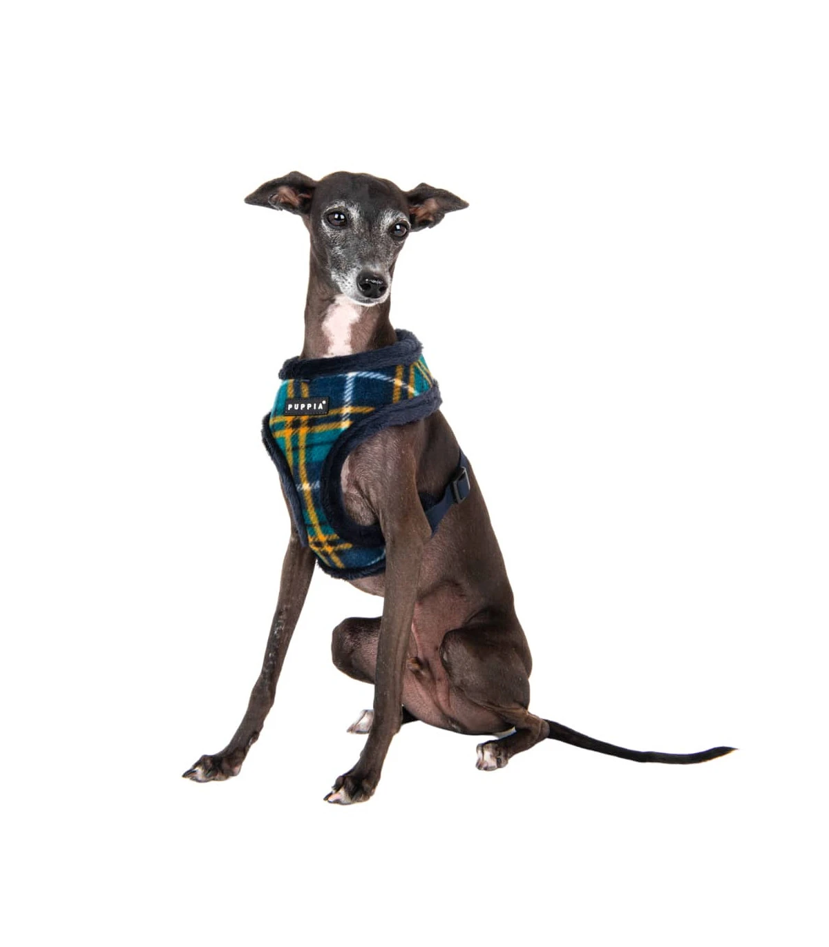 HA1985 Harnais Fourré écossais Navy Et Jaune Norman Puppia 9 HA1985 Harnais Fourré écossais Navy Et Jaune Norman Puppia – Image 9