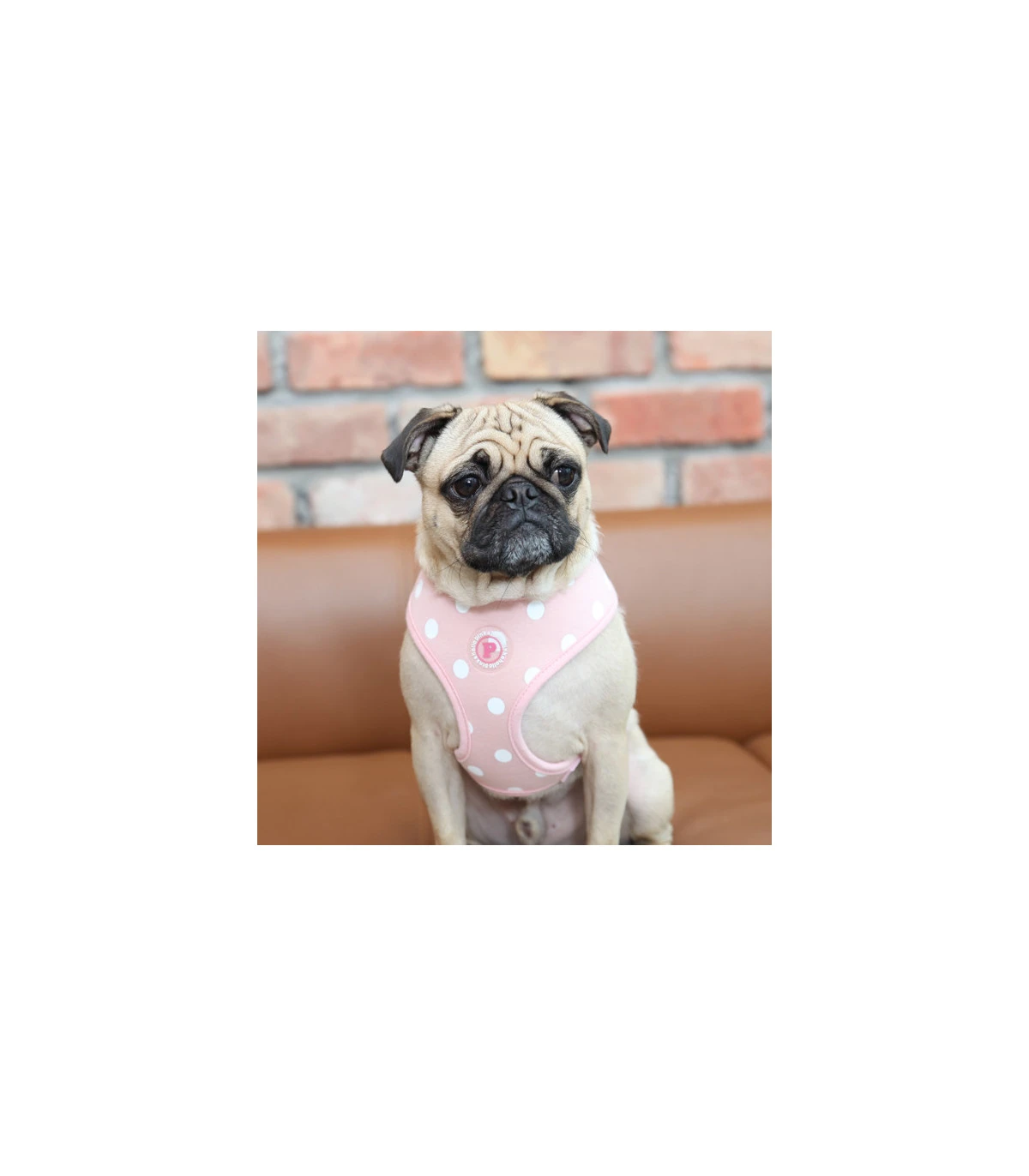 HA7318 Harnais Pinkaholic Sassa Pink 2 HA7318 Harnais Pinkaholic Sassa Pink – Image 2