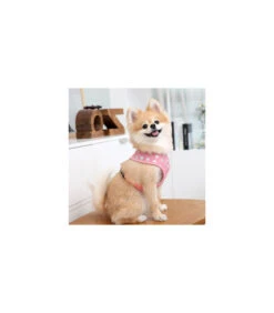 HA7322 Harnais Pinkaholic Chic Pink -Animaux Amour Promos Boutique ha7322 harnais pinkaholic chic pink 2