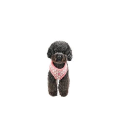 HA7363 Harnais Joceline Harness Pinkaholic Pink -Animaux Amour Promos Boutique ha7363 harnais joceline harness pinkaholic pink 2