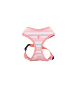 HA7401 Harnais Cara Pinkaholic Pink