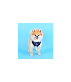 HA7502 Harnais Mirabelle Pinkaholic Navy -Animaux Amour Promos Boutique ha7502 harnais mirabelle pinkaholic navy 4