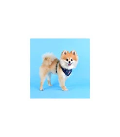 HA7502 Harnais Mirabelle Pinkaholic Navy -Animaux Amour Promos Boutique ha7502 harnais mirabelle pinkaholic navy 5