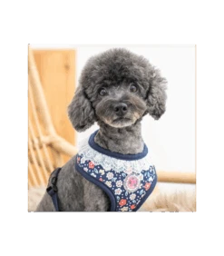 HA7631 Harnais Crocus Navy Pinkaholic 8 HA7631 Harnais Crocus Navy Pinkaholic -Animaux Amour Promos Boutique ha7631 harnais crocus navy pinkaholic 1 3