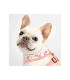 HA7631 Harnais Crocus Rose Pinkaholic -Animaux Amour Promos Boutique ha7631 harnais crocus rose pinkaholic 3