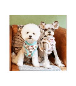 HA7645 Harnais Fourré Aconite Aqua Pinkaholic -Animaux Amour Promos Boutique ha7645 harnais fourre aconite aqua pinkaholic 6