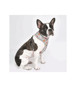 HA7645 Harnais Fourré Aconite Gris Pinkaholic -Animaux Amour Promos Boutique ha7645 harnais fourre aconite gris pinkaholic 3