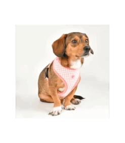 HA7656 Harnais En Tissu Vichy Rose Alaia Pinkaholic -Animaux Amour Promos Boutique ha7656 harnais en tissu vichy rose alaia pinkaholic 1 2