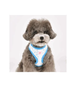 HA7660 Harnais En Tissu Liberty Bleu Lobélia Pinkaholic -Animaux Amour Promos Boutique ha7660 harnais en tissu liberty bleu lobelia pinkaholic 2